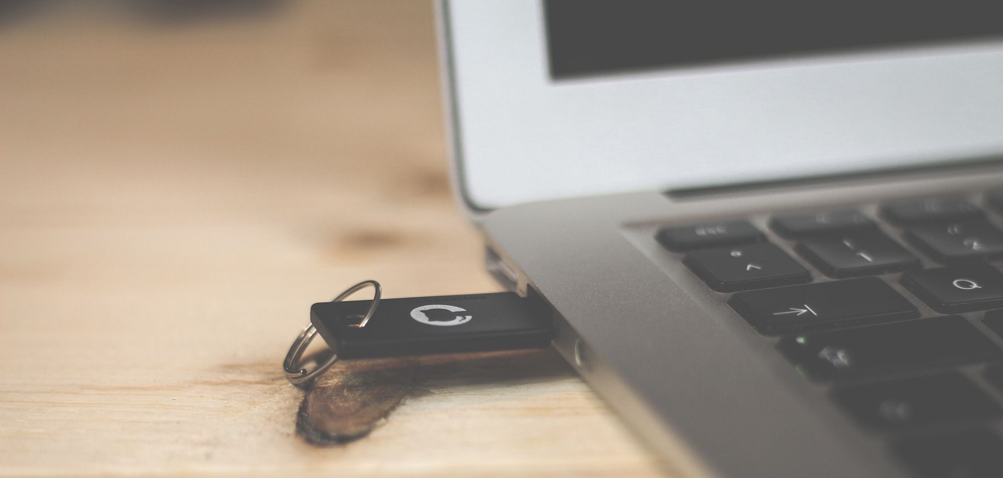 Downloads Protel, Xenia, Ordermann, PoS , Saas